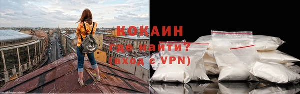 стаф Абаза