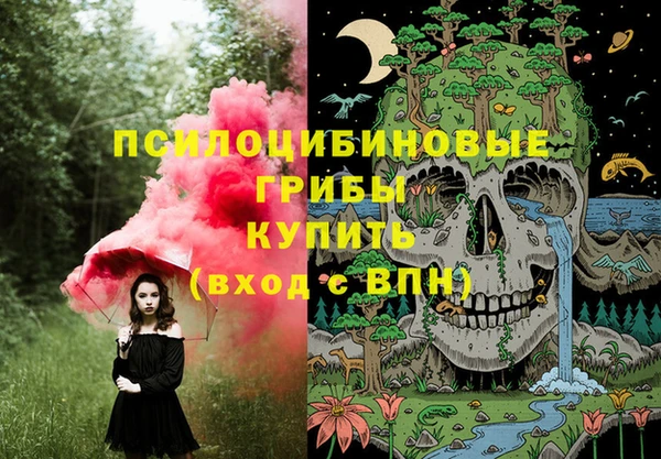 стаф Абаза